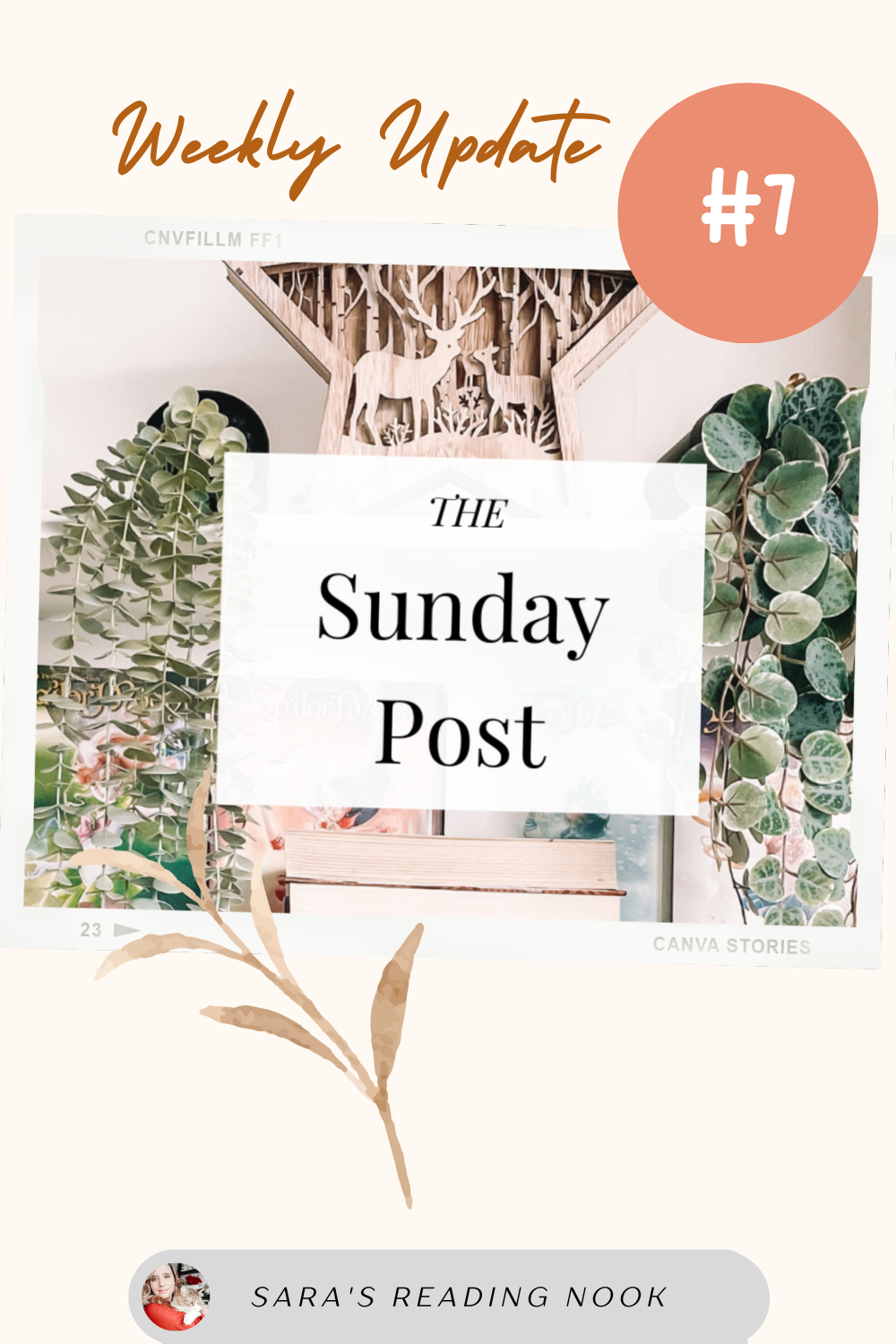 The Sunday post #7